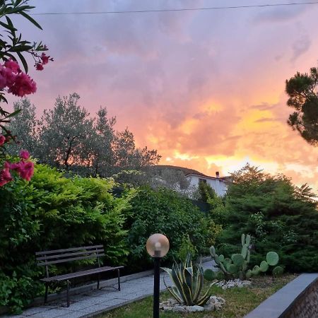 San Casciano Bed & Breakfast Narni Eksteriør bilde