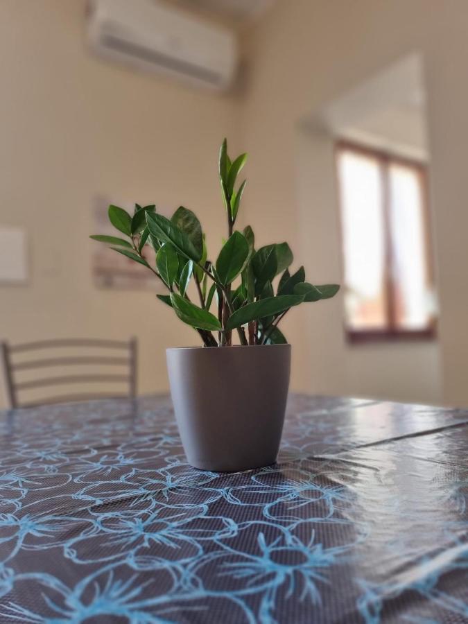 San Casciano Bed & Breakfast Narni Eksteriør bilde